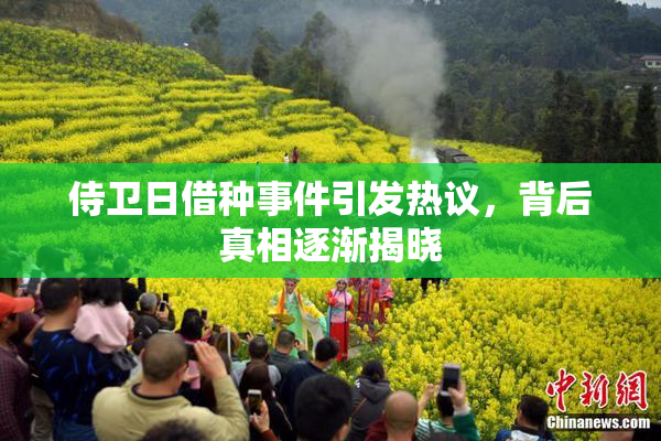 侍卫日借种事件引发热议，背后真相逐渐揭晓