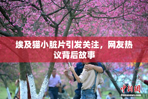 埃及猫小脏片引发关注，网友热议背后故事