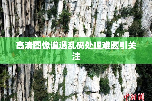 高清图像遭遇乱码处理难题引关注