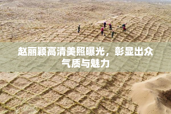 赵丽颖高清美照曝光，彰显出众气质与魅力