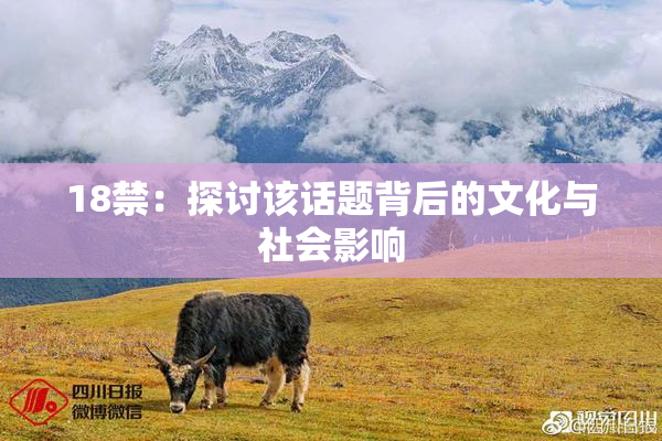 18禁：探讨该话题背后的文化与社会影响