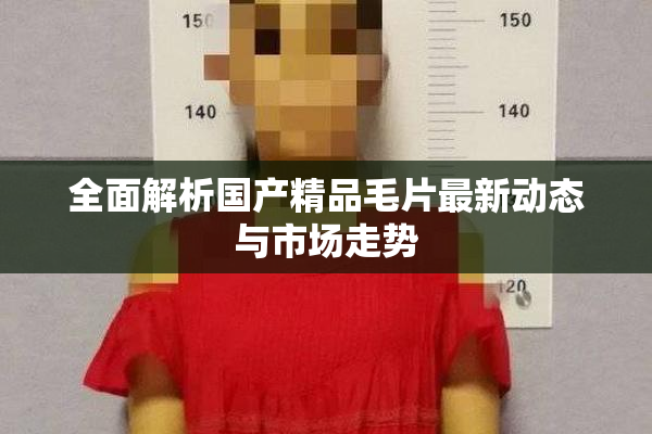 全面解析国产精品毛片最新动态与市场走势