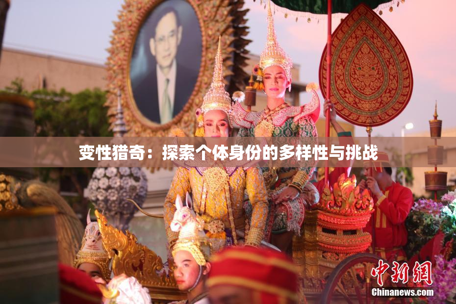 变性猎奇：探索个体身份的多样性与挑战