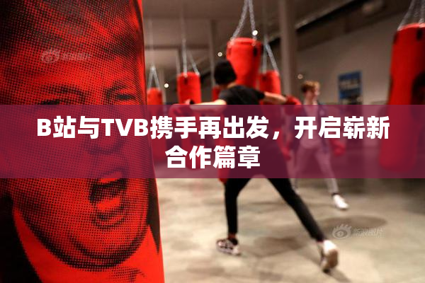 B站与TVB携手再出发，开启崭新合作篇章
