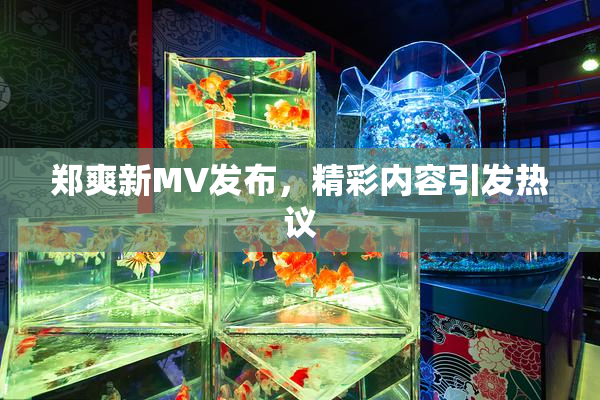 郑爽新MV发布，精彩内容引发热议
