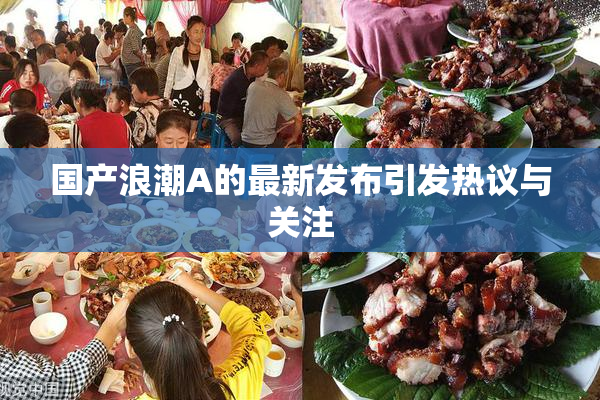 国产浪潮A的最新发布引发热议与关注