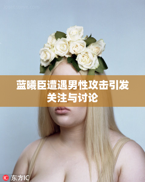 蓝曦臣遭遇男性攻击引发关注与讨论
