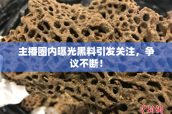 主播圈内曝光黑料引发关注，争议不断！