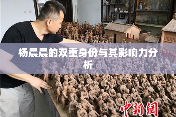 杨晨晨的双重身份与其影响力分析