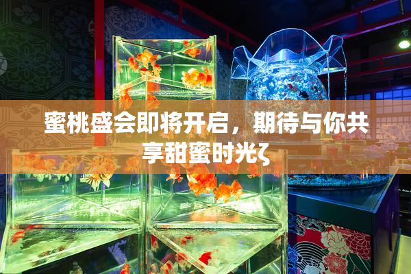 蜜桃盛会即将开启，期待与你共享甜蜜时光ζ