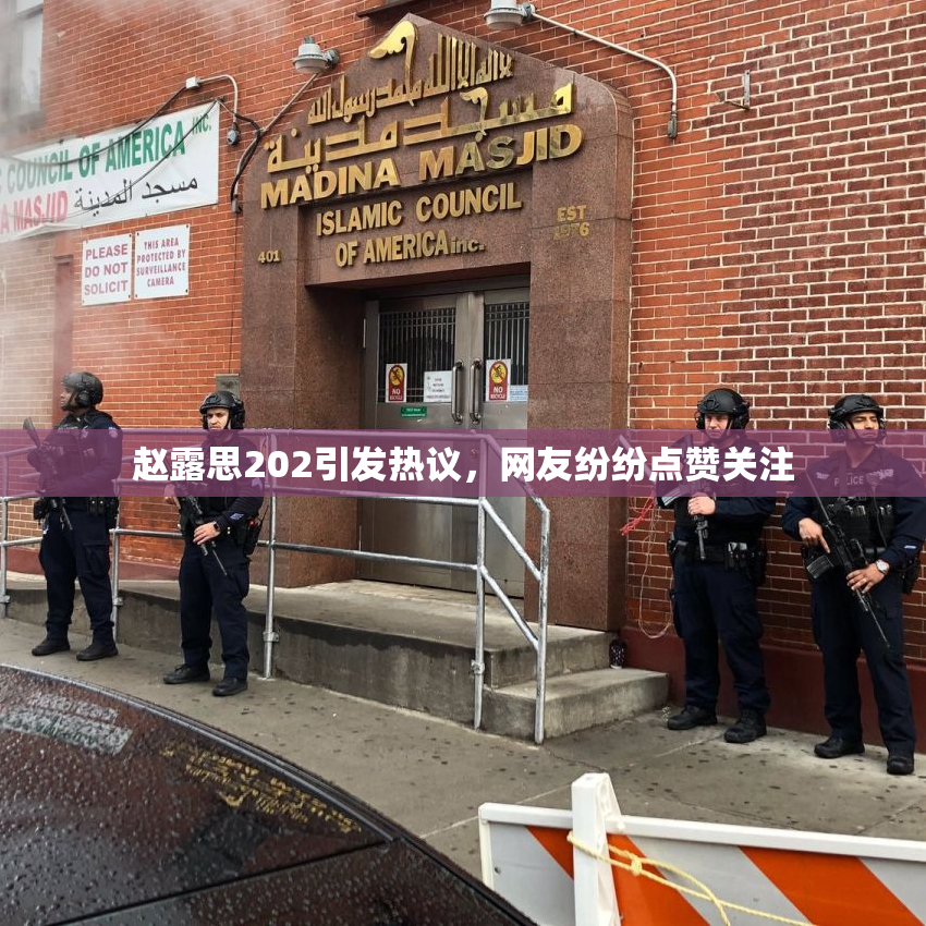 赵露思202引发热议，网友纷纷点赞关注