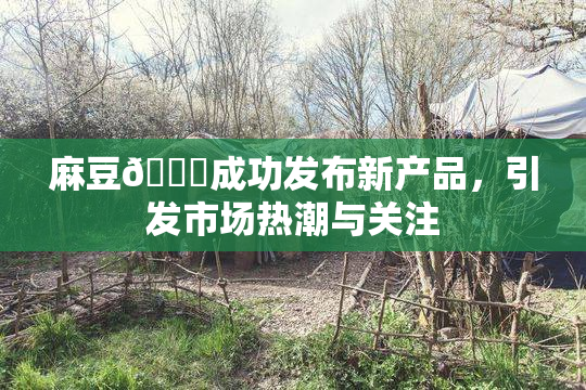 麻豆🔞成功发布新产品，引发市场热潮与关注