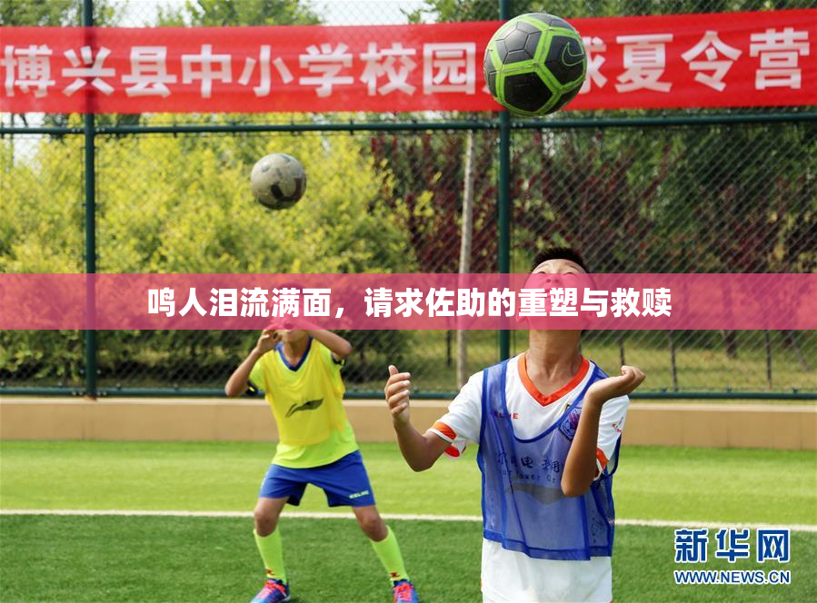 鸣人泪流满面，请求佐助的重塑与救赎