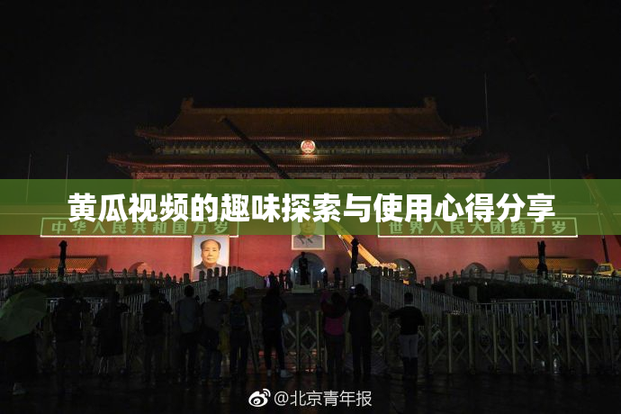 黄瓜视频的趣味探索与使用心得分享