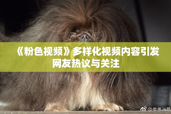 《粉色视频》多样化视频内容引发网友热议与关注