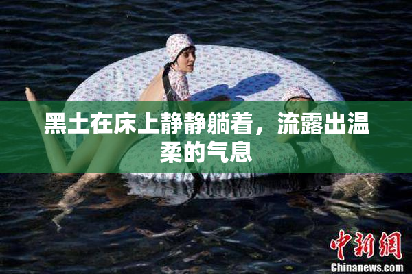 黑土在床上静静躺着，流露出温柔的气息