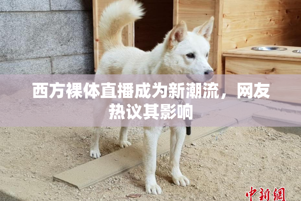 西方裸体直播成为新潮流，网友热议其影响