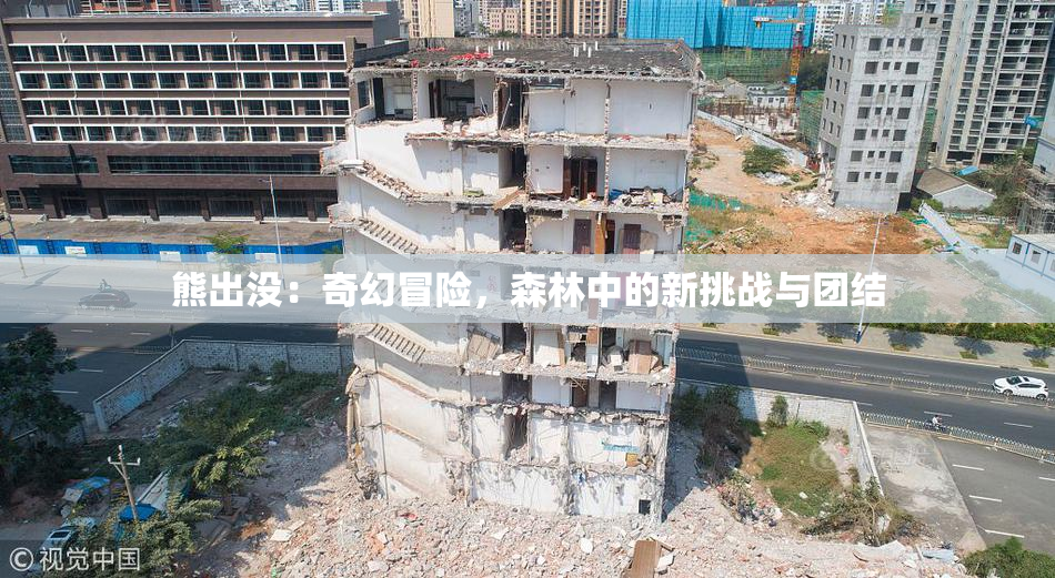 熊出没：奇幻冒险，森林中的新挑战与团结