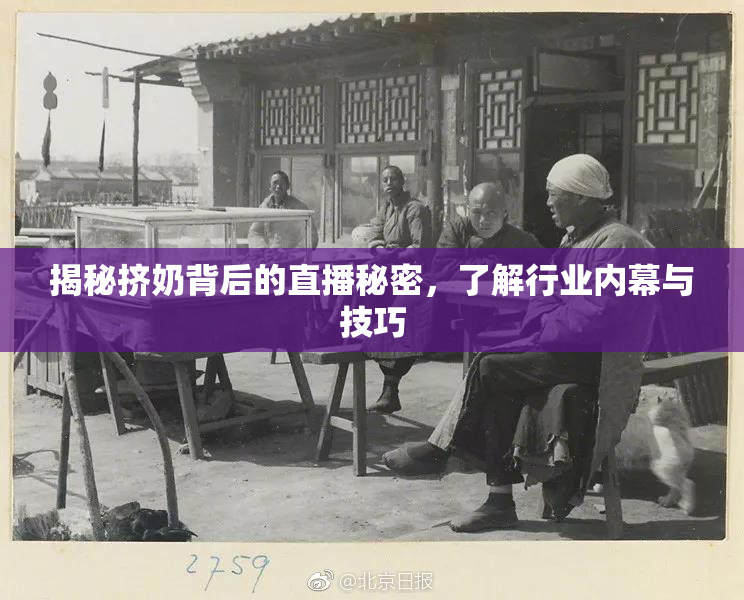 揭秘挤奶背后的直播秘密，了解行业内幕与技巧