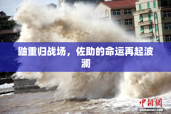 鼬重归战场，佐助的命运再起波澜