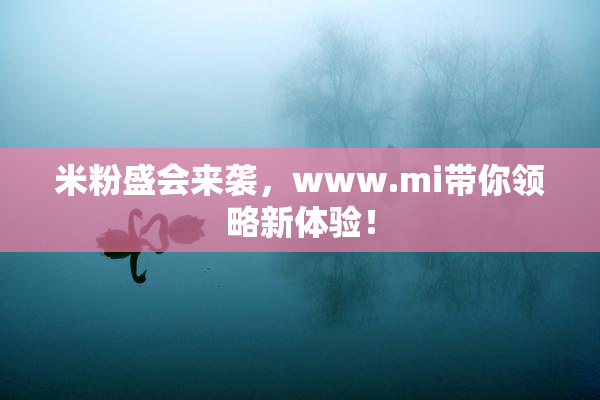 米粉盛会来袭，www.mi带你领略新体验！