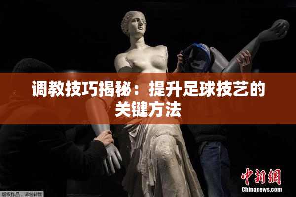 调教技巧揭秘：提升足球技艺的关键方法