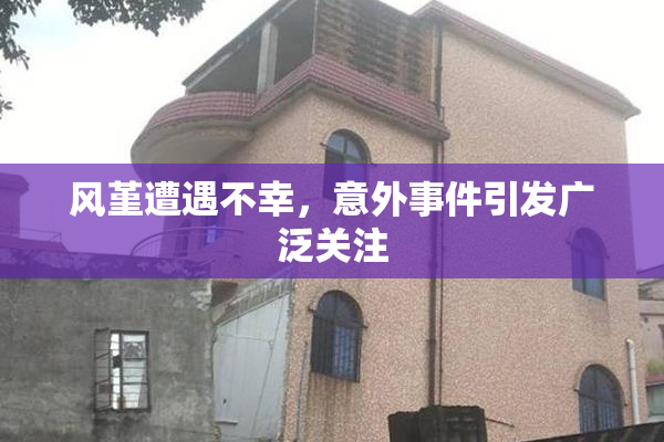 风堇遭遇不幸，意外事件引发广泛关注