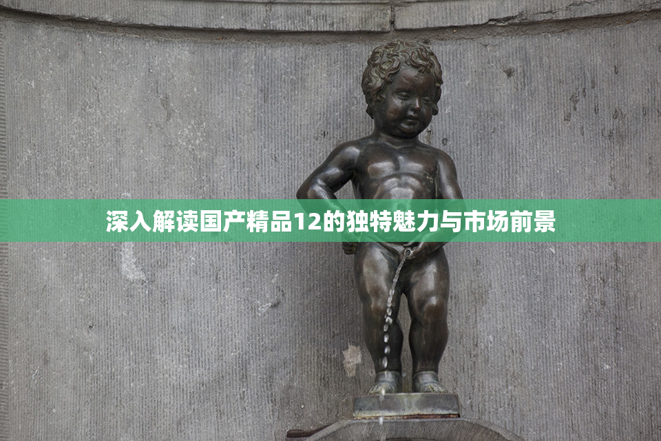 深入解读国产精品12的独特魅力与市场前景