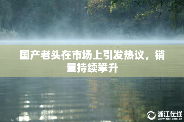 国产老头在市场上引发热议，销量持续攀升
