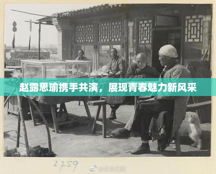 赵露思瑜携手共演，展现青春魅力新风采