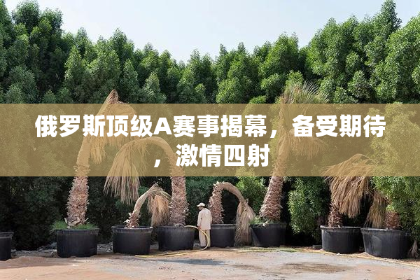 俄罗斯顶级A赛事揭幕，备受期待，激情四射