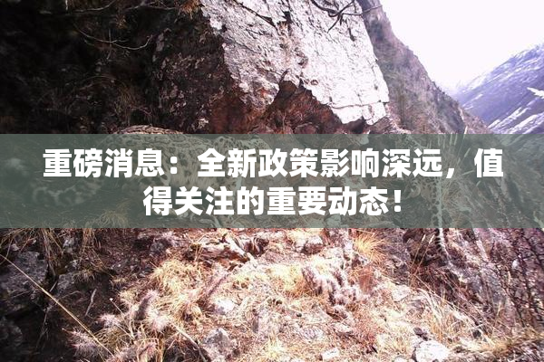 重磅消息：全新政策影响深远，值得关注的重要动态！