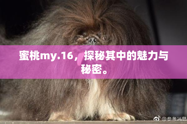 蜜桃my.16，探秘其中的魅力与秘密。