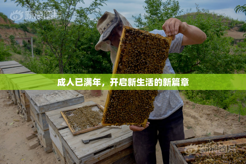 成人已满年，开启新生活的新篇章
