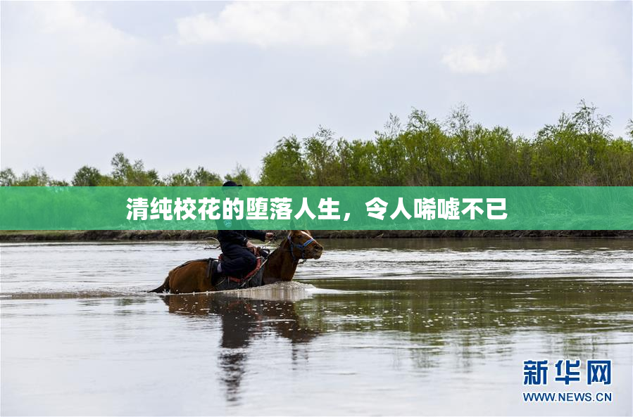 清纯校花的堕落人生，令人唏嘘不已