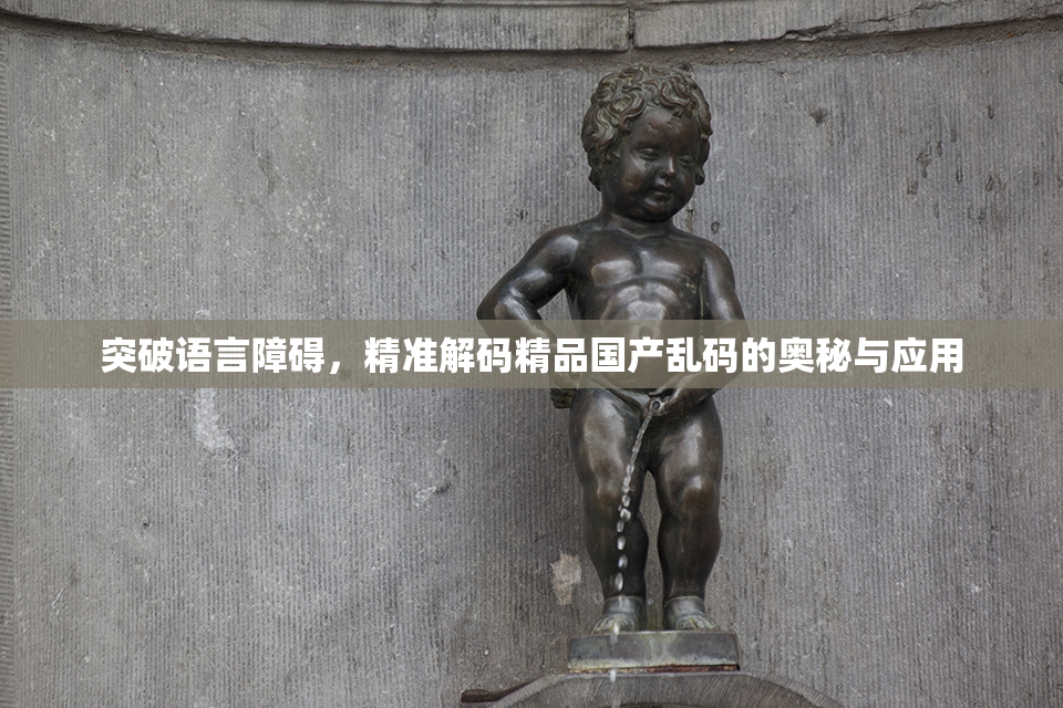 突破语言障碍，精准解码精品国产乱码的奥秘与应用
