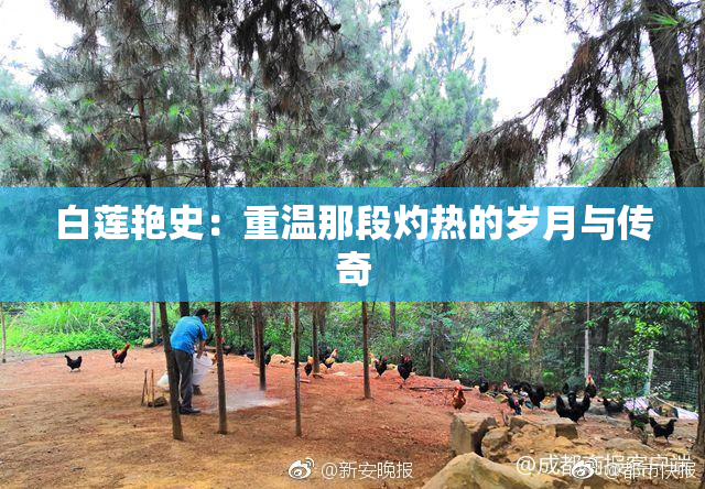 白莲艳史：重温那段灼热的岁月与传奇