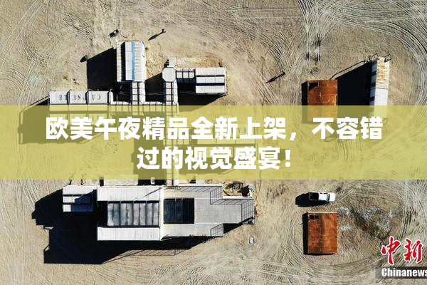 欧美午夜精品全新上架，不容错过的视觉盛宴！