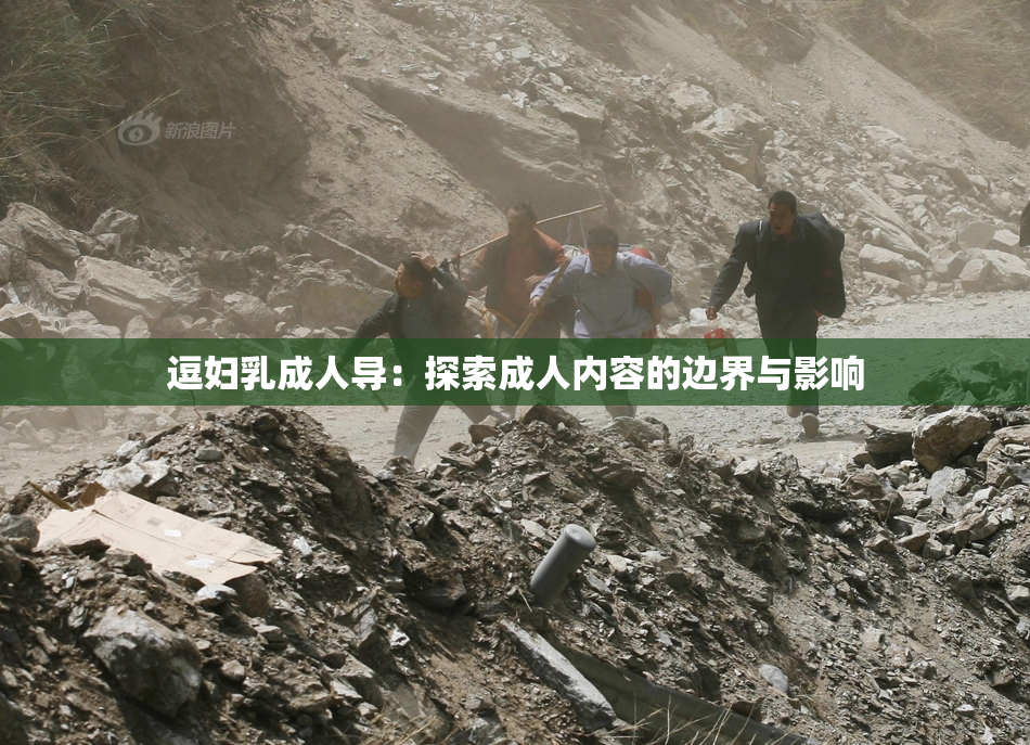 逗妇乳成人导：探索成人内容的边界与影响
