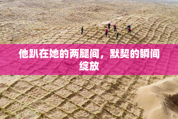 他趴在她的两腿间，默契的瞬间绽放