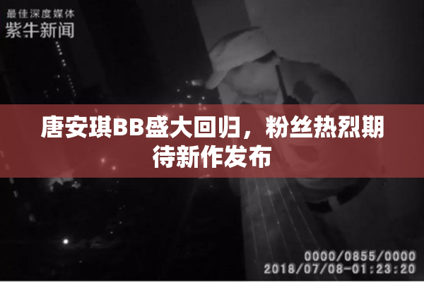 唐安琪BB盛大回归，粉丝热烈期待新作发布
