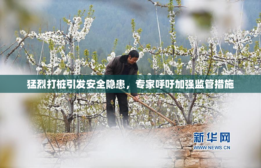 猛烈打桩引发安全隐患，专家呼吁加强监管措施
