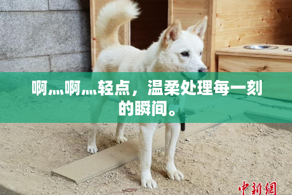啊灬啊灬轻点，温柔处理每一刻的瞬间。