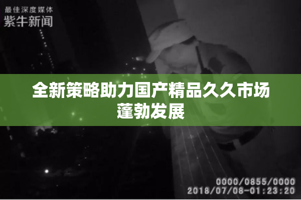 全新策略助力国产精品久久市场蓬勃发展