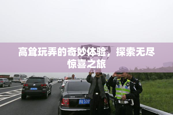 高耸玩弄的奇妙体验，探索无尽惊喜之旅