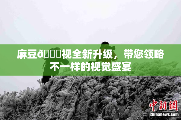 麻豆🔞视全新升级，带您领略不一样的视觉盛宴