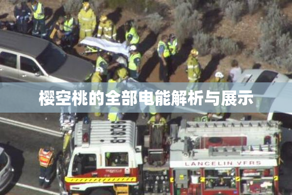 樱空桃的全部电能解析与展示