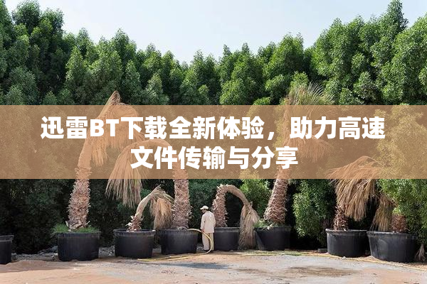 迅雷BT下载全新体验，助力高速文件传输与分享