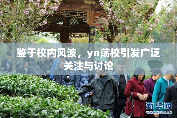 鉴于校内风波，yn荡校引发广泛关注与讨论