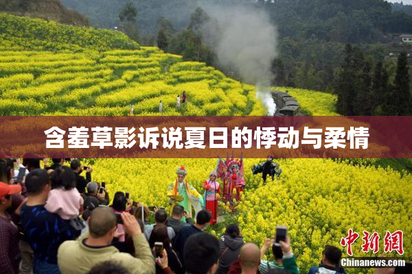含羞草影诉说夏日的悸动与柔情